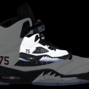 Jordan 5 Retro Paris Saint-Germain White (F&F)