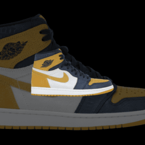 Jordan 1 Retro High Michigan PE