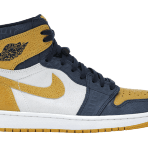 Jordan 1 Retro High Michigan PE